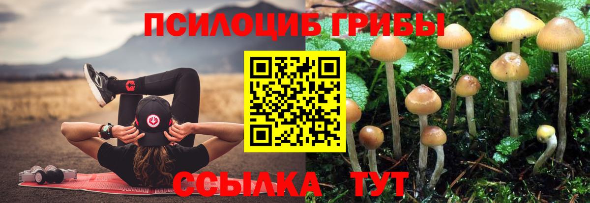 Галлюциногенные грибы Psilocybine cubensis  Псилоцибиновые грибы Cubensis  Сызрань  Вход с VPN 
